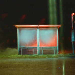 欧美怡红院在线
