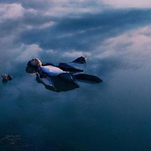 欧美怡红院在线
